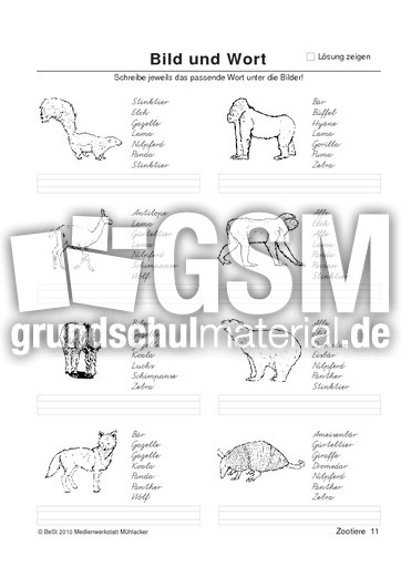 BuW Zootiere11.pdf